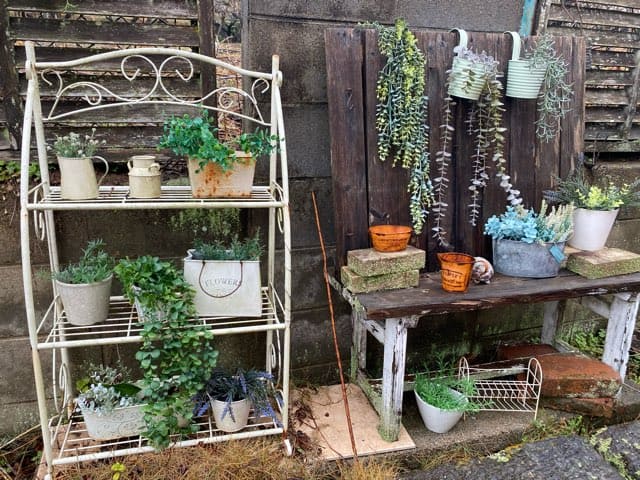 カフェシュクレ