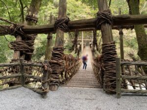 祖谷のかずら橋