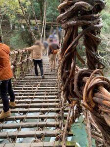 祖谷のかずら橋