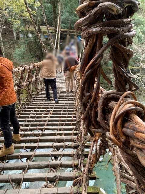 祖谷のかずら橋