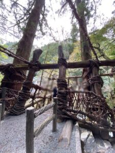 祖谷のかずら橋