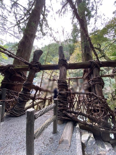 祖谷のかずら橋