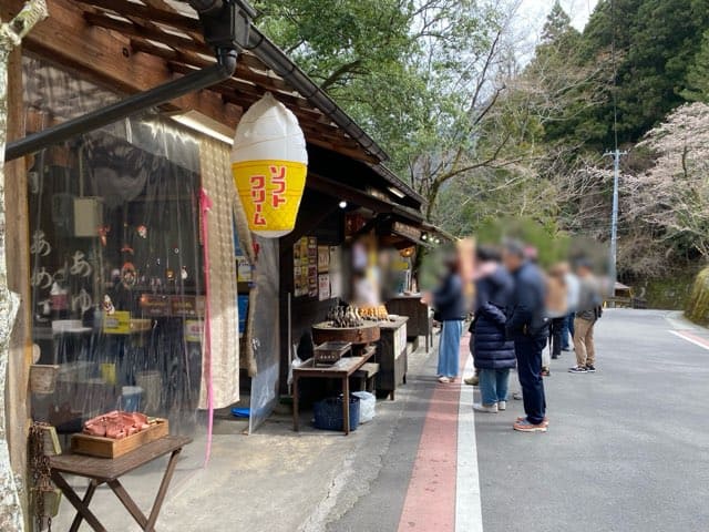 祖谷のかずら橋