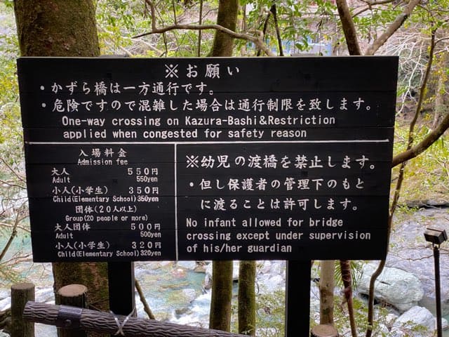 祖谷のかずら橋
