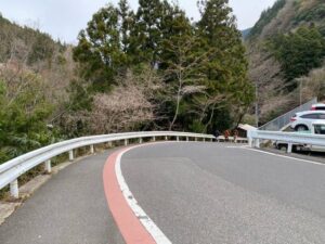 祖谷のかずら橋