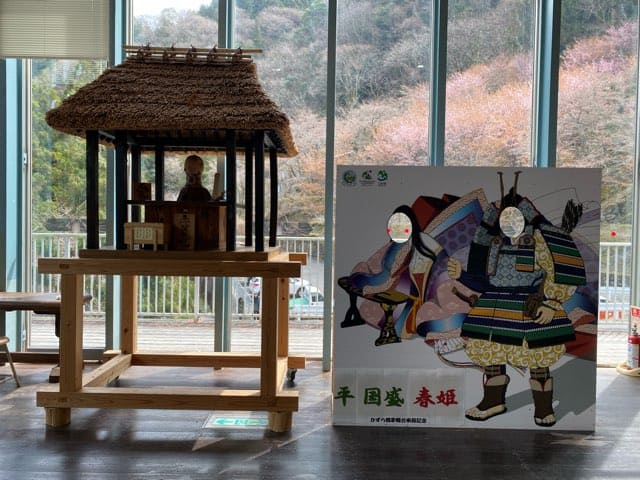 祖谷のかずら橋