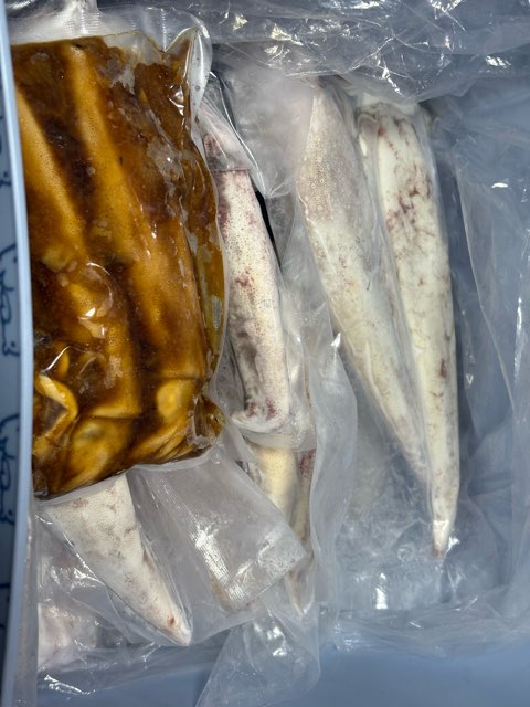 魚釣り