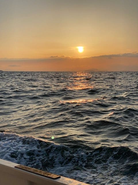 魚釣り