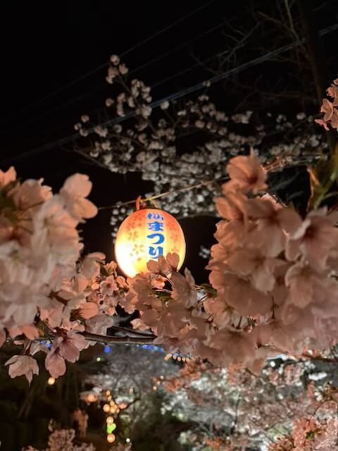 別府ラクテンチ