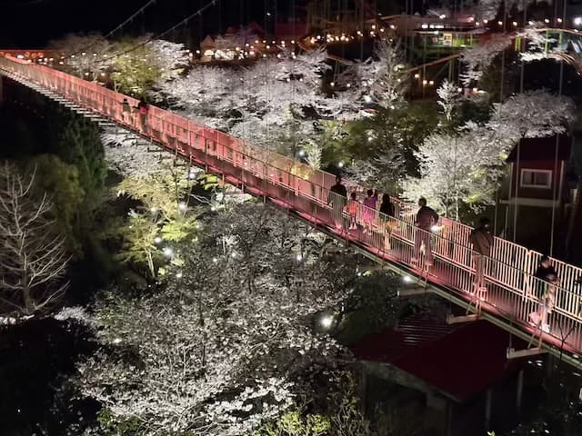 別府ラクテンチ
