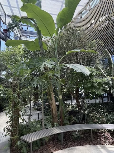 スターバックスコーヒー都城