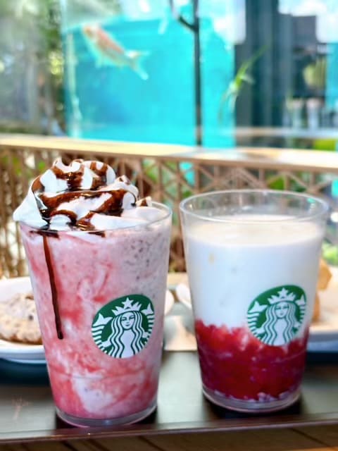 スターバックスコーヒー都城