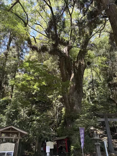 東霧島神社
