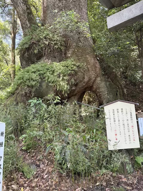 東霧島神社