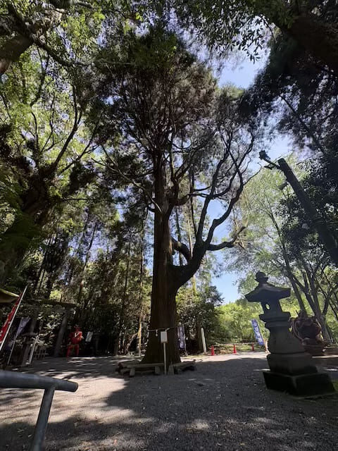 東霧島神社