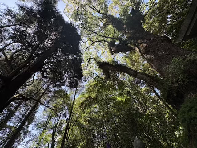 東霧島神社
