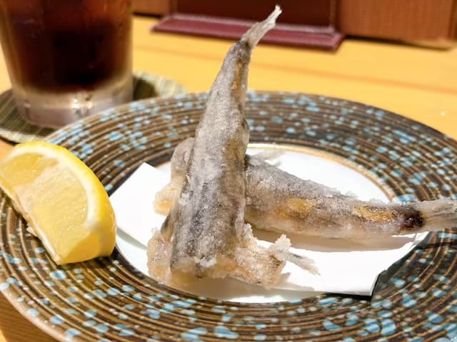 胴長短足
