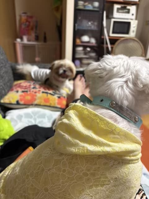 別府