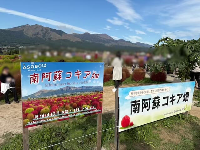 道の駅あそ望の郷くぎのコキア