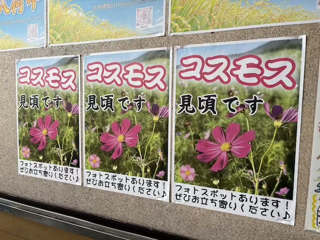 俵山交流館萌の里