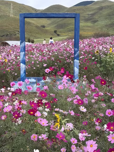 俵山交流館萌の里