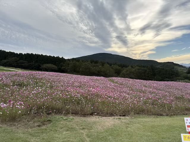俵山交流館萌の里