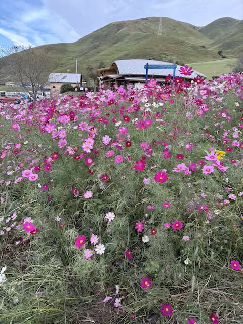 俵山交流館萌の里