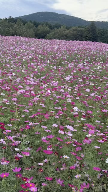 俵山交流館萌の里
