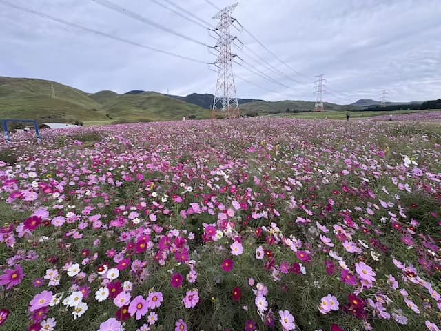 俵山交流館萌の里