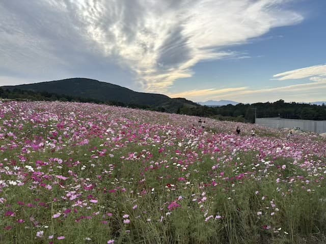 俵山交流館萌の里