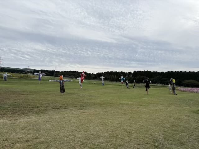 約80万本のコスモス畑は圧巻