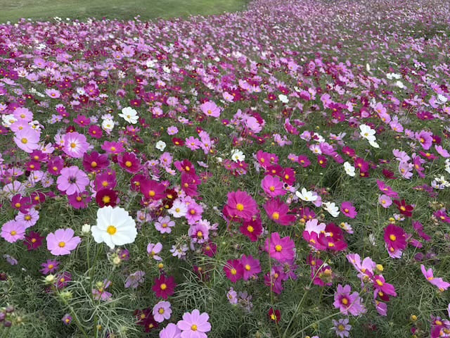 俵山交流館萌の里