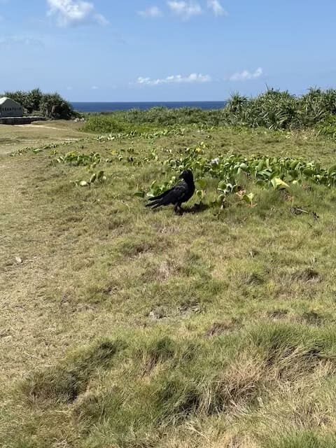 波照間島高那崎